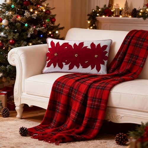 JWH Poinsettia Wool 14x24 Inch Christmas Pillow Cover - NOEL Appliqué