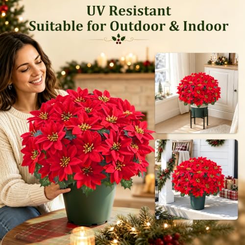 Martine Mall Red Potted Poinsettias (2-pack), UV-Resistant Outdoor Christmas Flowers