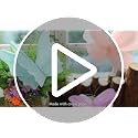 4-Piece Hanging Crepe Paper Butterfly Decorations for Party Decor