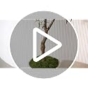 7ft Faux Olive Tree with Realistic Leaves - Indoor Decor