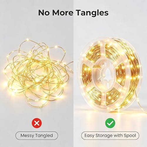 2-Pack Battery Operated Warm White LED Fairy Lights with Remote (33ft)