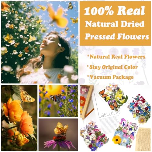 99Pcs Pressed Dried Flowers and Butterfly Stickers for Resin and Crafts