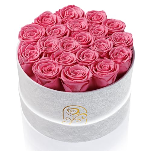 20 Preserved Real Roses in Luxury Velvet Gift Box - Long Lasting Flowers