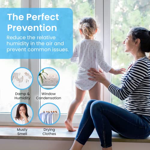 Electric Mini Dehumidifier Compact Portable 250 Sq Ft for Home