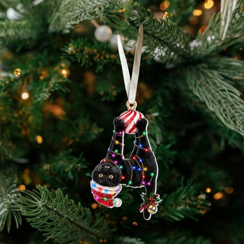 Pawzity Cat Black Christmas Ornament - One-Sided Acrylic Ornament with Beige Ribbon, Gift Box (Cat Black)