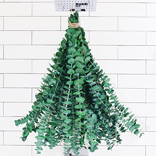 Preserved Natural Dried Eucalyptus Stems for Shower - 10 Pack (17 Inch)
