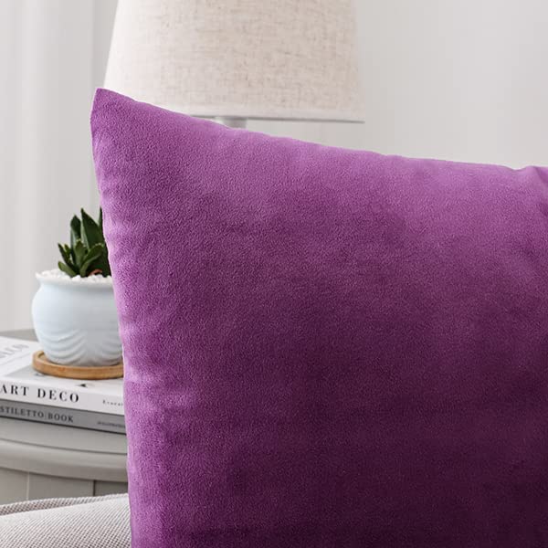 NiNi ALL Purple Velvet Throw Pillow Covers 22x22in (Pack of 2) Decorative Cushions