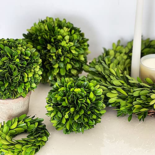 6-Inch Preserved Boxwood Decorative Ball for Indoor Home Decor