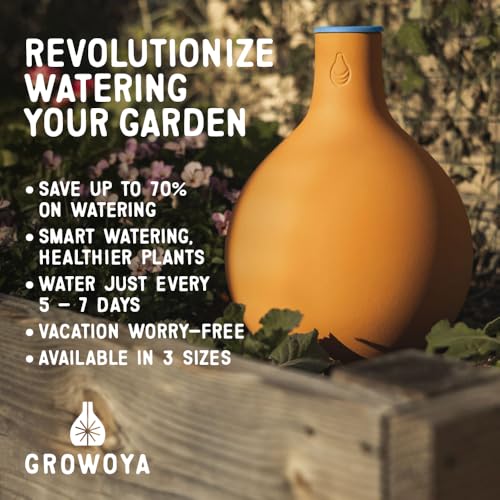Small Terracotta Olla Self-Watering Pot for Garden Beds & Grow Bags