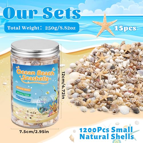 1200 Pcs Natural Mini Seashells & Starfish Set for DIY Crafts & Decor