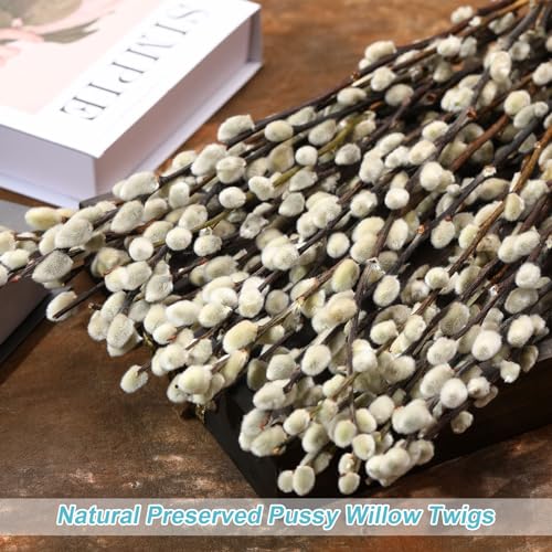 15 Stems Preserved Pussy Willow Branches, 17-Inch Natural Dried Flowers