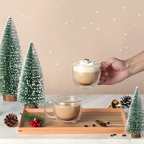 8oz Double Wall Glass Coffee Mugs Set of 2 Insulated Clear Tea & Espresso Cups