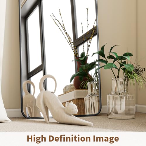 56" x 21" Full Length Floor Mirror, Aluminum Alloy Frame - Black