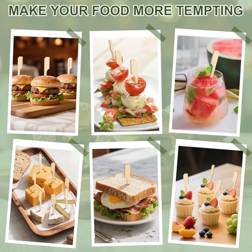 3.5 Inch Bamboo Cocktail Picks 200PCS - Smooth Skewers for Food & Drinks (Vicuna R)