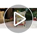 LED Lighted Christmas Village Taco Food Truck - Polyresin Holiday Decor