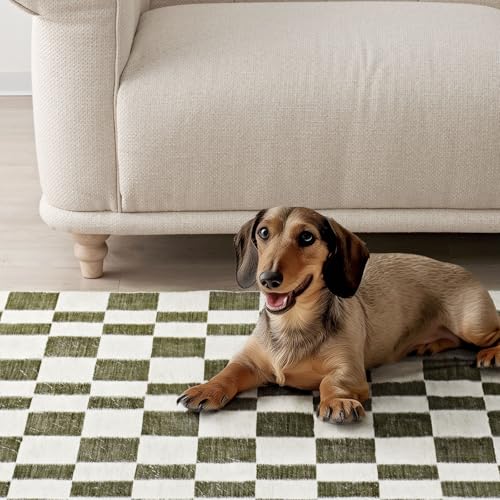 EverGrace 5' x 7' Olive Green Checkered Area Rug - Soft Faux Wool, Washable
