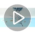 Coastal Blue Glitter Picks 15-Piece Set | Ocean-Themed Christmas Sprays