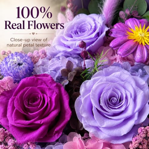 Preserved Purple Rose Bouquet in Vase, Eternal Real Flowers Gift for Her