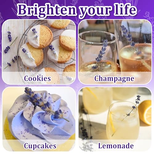 Edible Dried Lavender Sprigs for Cake Decorating & Cocktail Garnish - 110+ Natural Floral Stems