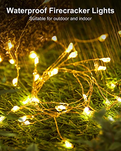Minetom 60 LED Fairy String Lights, 5 Feet Battery Operated Silver Wire Firefly Lights for Home Decor and Holidays