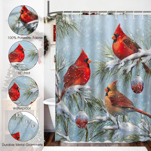Christmas Red Bird Shower Curtain - Winter Robin & Cardinal Bathroom Decor, 72x72 Inches with Hooks