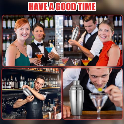Silver 6-Piece Stainless Steel Cocktail Shaker Set 18.6 oz for Home & Bar