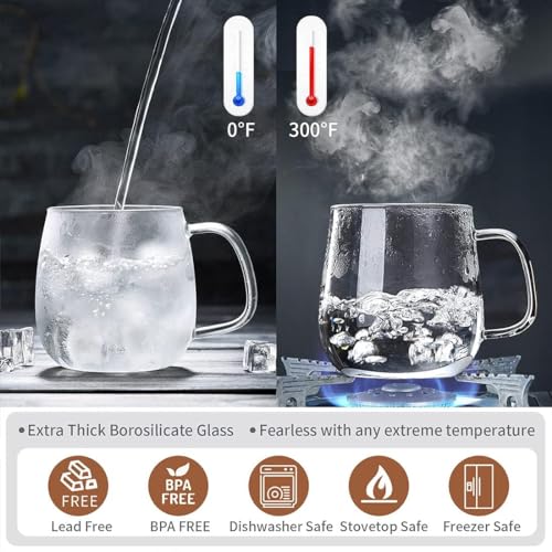DOPUDO Glass Tea Cup with Infuser & Lid 17.6oz - Borosilicate Mug for Loose Leaf Tea, Microwave & Dishwasher Safe