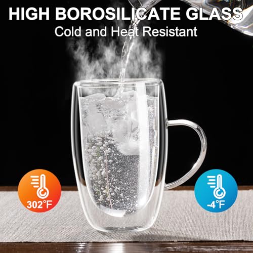 Baalaka 16 fl oz Double-Wall Glass Tea Mug with Infuser & Lid