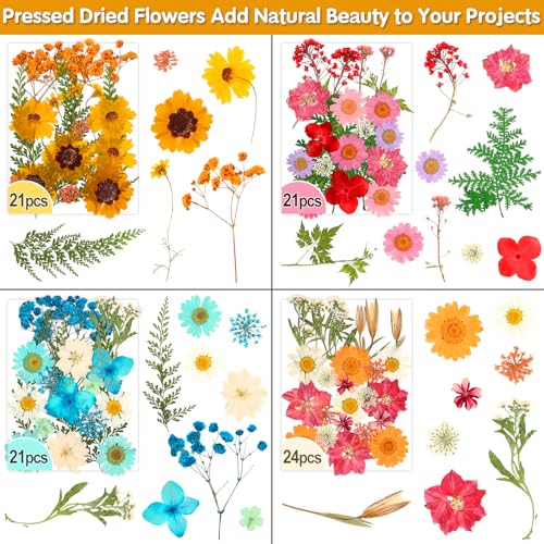 235 Pcs Pressed Dried Flowers and Resin Butterfly Stickers Set for Crafts