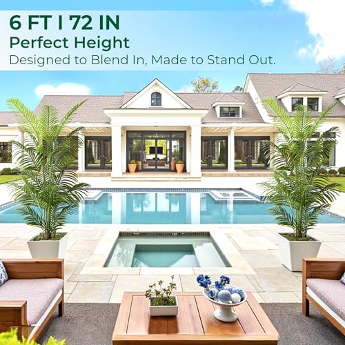 6FT Tall Artificial Areca Palm Trees - UV Resistant Faux Plants (2 Pack)