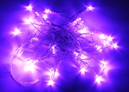 Karlling Purple Battery Operated 40 LED Fairy Light String 10 Pack for Weddings & Christmas