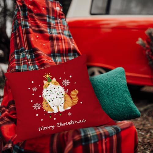 GDJIEGBC Funny Orange Cat Christmas Pillow Cover 18x18 P — Seasonal Home Decor