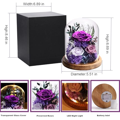 Preserved Purple Rose in Glass Dome with LED Lights - Eternal Flower Gift