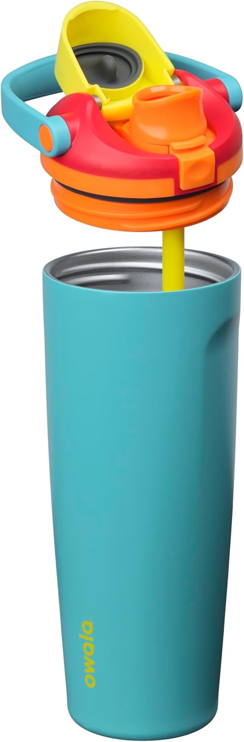 Owala FreeSip 30oz Insulated Stainless Steel Water Bottle - Two-Way Spout & Built-In Straw, BPA Free