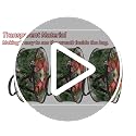 Clear Wreath Storage Bags 4-Pack 24-Inch Waterproof PVC