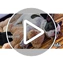 Waterproof Pet Mat - 36x28 Non-Slip Furniture Protector for Pets