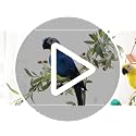 17.7-Inch Lifelike Feathered Artificial Red Parrot Decor & Costume Prop