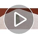 Christmas Tree Embroidered Linen Napkins Set of 6 18x18'' Rustic Holiday Decor Xmas