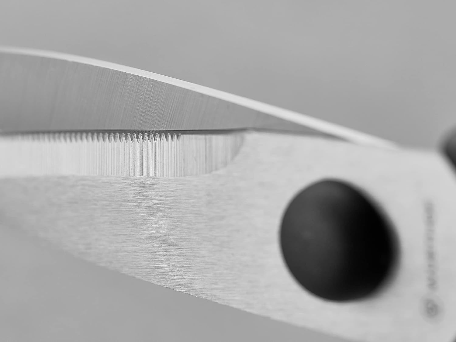 WÜSTHOF Kitchen Shears - Versatile Come Apart Design for Effortless Cutting and Food Prep