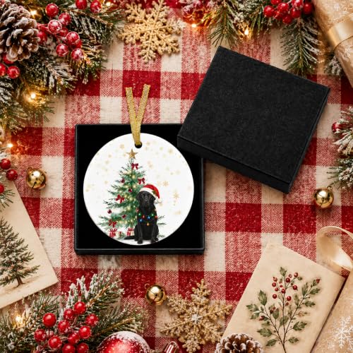Black Lab Gifts Ceramic Christmas Ornament - Dog Ornament for Tree - Black Labrador