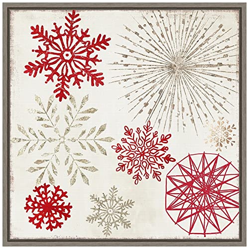 Sylvie Graywash Framed Canvas Wall Art Christmas Snowflakes II by PI Studio 16x16