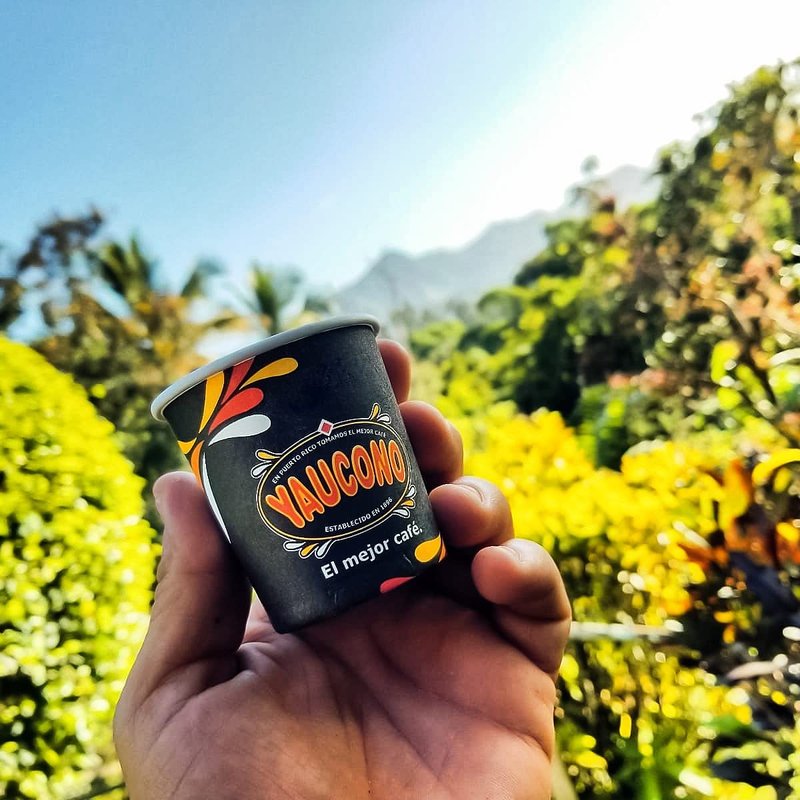 Yaucono Dark Roast Ground Coffee, Puerto Rico, 100% Arabica, 10 Ounce