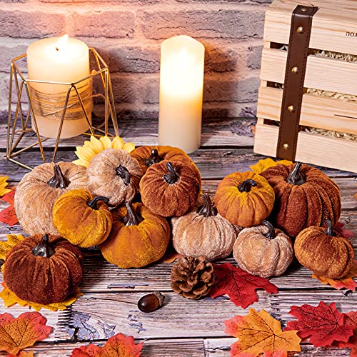 12-Piece Assorted Velvet Artificial Pumpkins for Fall Home Table Decor