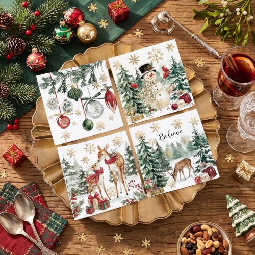Fulmoon 200 Pcs Christmas Cocktail Paper Napkins Vivid Style 4 Designs