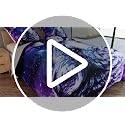 Galaxy Wolf Twin Comforter Set with Pillow Case - 3D Printed Bedding