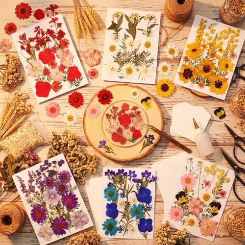 106pcs Natural Dried Pressed Flowers & Leaves for Resin Crafting & DIY