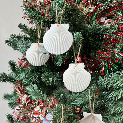 3-4 Inch Scallop Seashells with Hole - 15pc Natural White Craft Ornaments