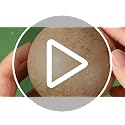 12 Pcs 3.15 Inch Neutral Textured Christmas Ball Ornaments, Brown