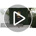 30-Inch Buddha Zen Wall Water Fountain with LED Light for Garden Decor