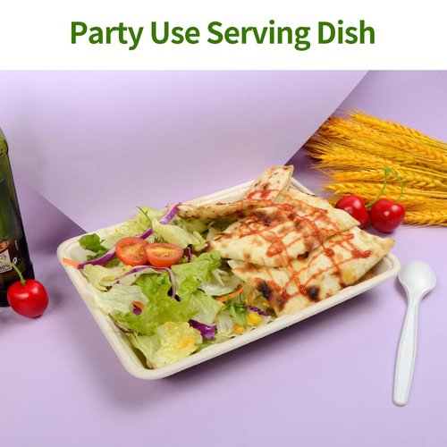 AICHEF 100 Pack 9 x 7 inch Rectangle Paper Plates for Tacos, Pasta, Salads, Pizza Slice, Dessert, 9 inch Disposable Food Trays Camping Picnic Party Use